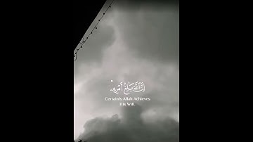 سوره الطلاق - القارئ شريف مصطفى #قرآن