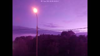 Pi NOIR camera timelapse