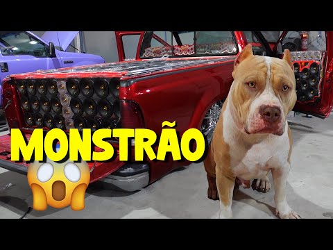 LEVEI MEU PITBULL NA ABELVOLKS