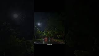 Teri Yaadon Mein Likhe Jo Lafz Dete Hai Sunaialone Boy4K Whatsapp Status