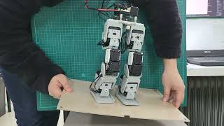 Tested Balancing Algorithm for Humanoid Robot