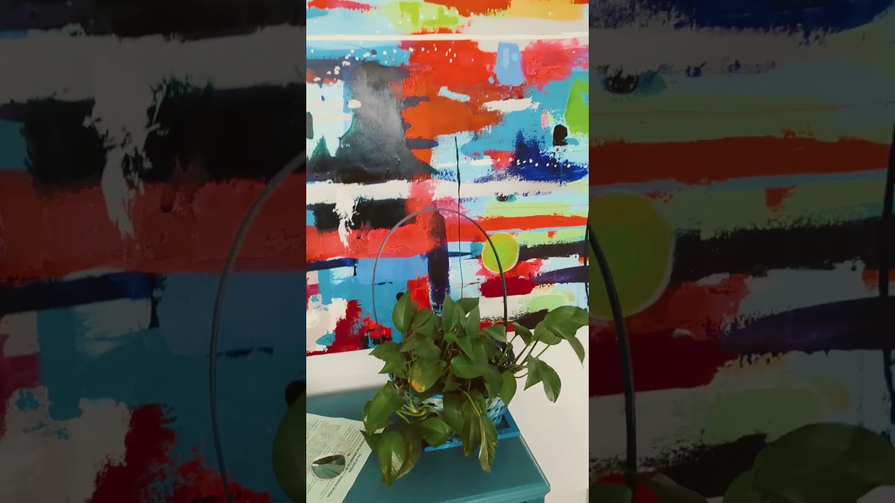 paintings & plants 🧿 