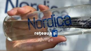 Automatele Nordica Ajung În Capitală