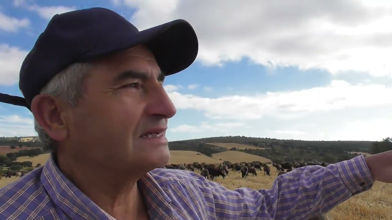 Adaptación Ambiental: lobos de la Culebra