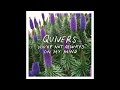 Quivers - You're Not Always On My Mind
