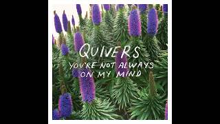 Quivers - You're Not Always On My Mind chords