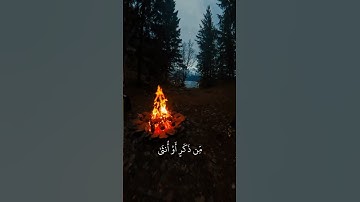 عبد الرحمن مسعد:سورة النحل الايه:(٩٧)