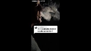 Q：タバコの煙を顔に吹きかけたら罪になりますか？#Shorts