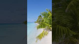 Island of calm 😌💗🏝️ #island #drone #beautiful #beach #beaches #inspiration #tropical #travel