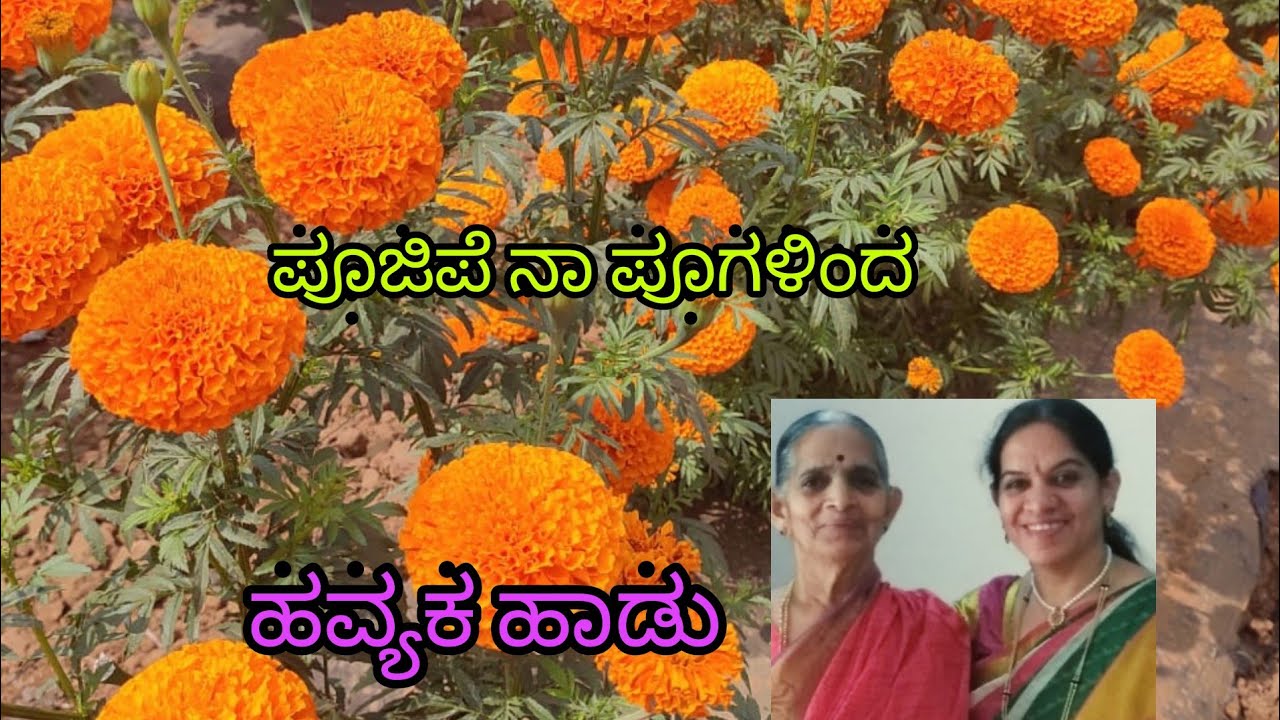 ನವರಾತ್ರಿ ವಿಶೇಷ /ದೇವಿಯ ಹಾಡು.. ಹವ್ಯಕ Havyaka Traditional Song.. Navaratri Special Traditionalsong