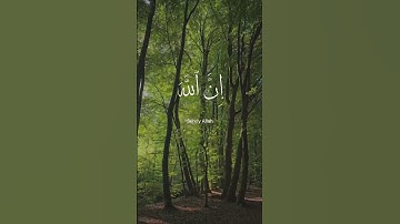 وأفوض امرى إلى الله #عبدالباسط_عبدالصمد #القرآن_الكريم #تلاوة_خاشعة #راحة_نفسية #اكسبلور #قرآن