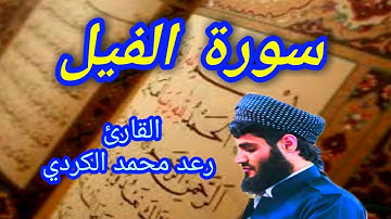 سورة الفيل - القارئ رعد محمد الكردي