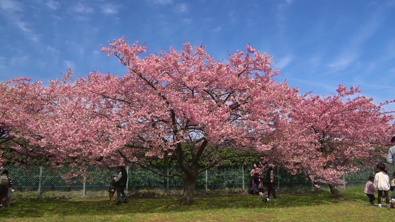 maxresdefault.jpg?sqp=-