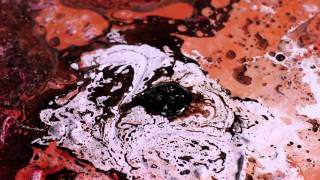 Lone - Jaded