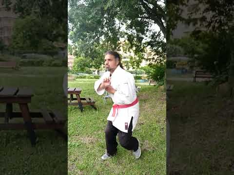 Xing Yi Chuan Zuan Quan