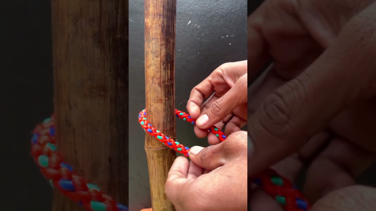 Rope knots used in daily life. 