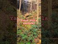 found a second waterfall while hiking yahoo falls in Kentucky #shorts #kentucky #waterfalls