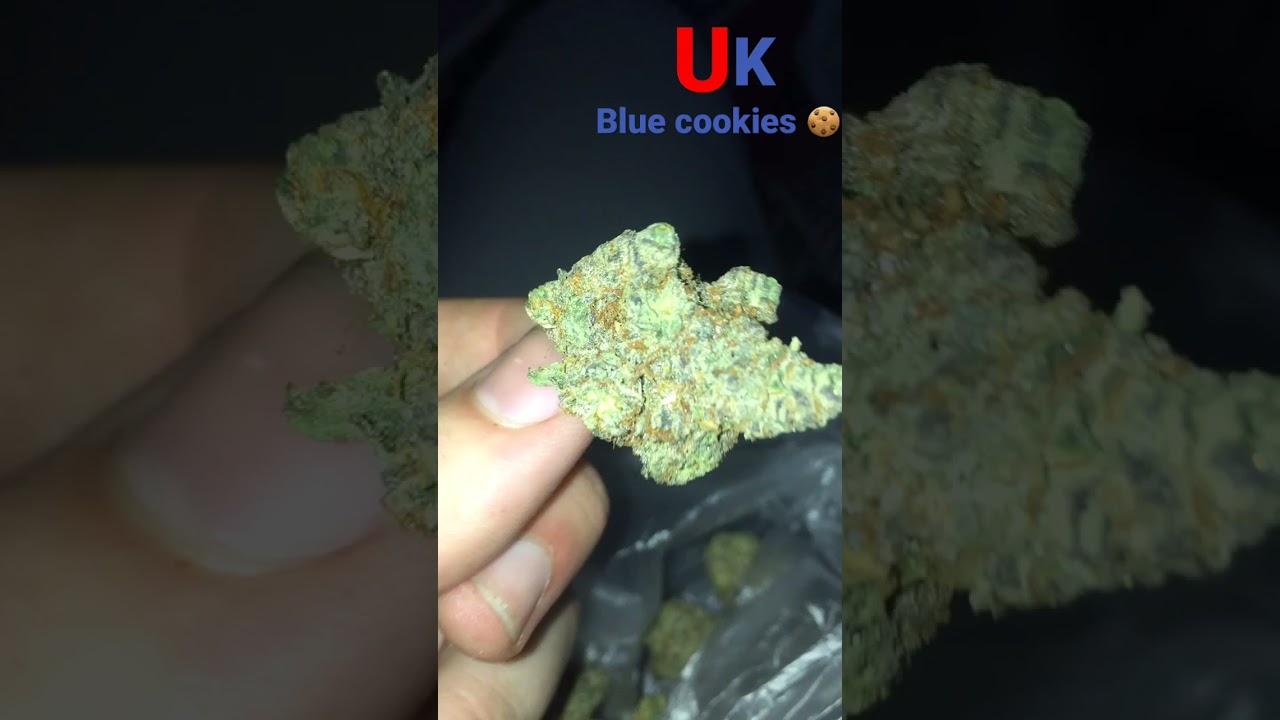 Uk grown blue cookies 