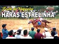 CORRIDA DE CAVALOS, FESTA DO VAQUEIRO HARAS ESTRELINHA 2021