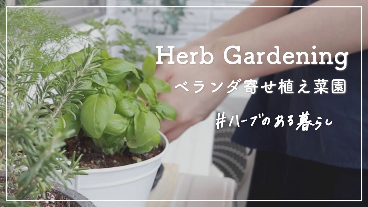 初めてのベランダ菜園 ハーブの寄せ植えづくり ミントやバジルなど Youtube