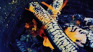 Fire ..
