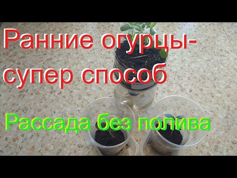 ФИТИЛЬНЫЙ ПОЛИВ часть