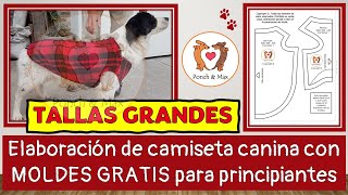 DIY Elaboración de ropa para PERROS GRANDES con moldes/ Ropa para perros y mascotas ❤ MOLDES GRATIS