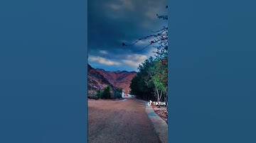 تلاوه جميل‍ه بصوت حِسينَ من الشيخ القارئ غالب جسار