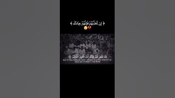 تلاوه خاشعه للشيخ ياسر الدوسري من سورة المائدة ❤️