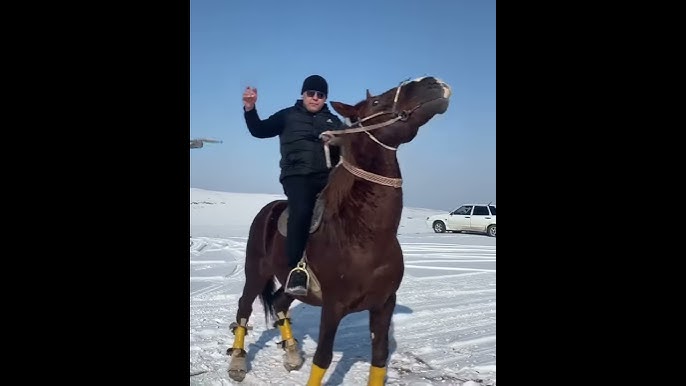 Анфиса Чеховамен эротикалық шоу 18 ғасырдағы эротикалық суреттер