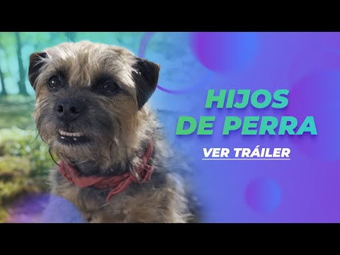 HIJOS DE PERRA | TRÁILER OFICIAL DOBLADO