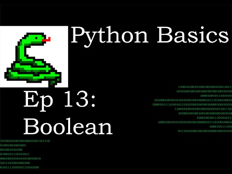 Python Basics Conditional Statements  True - False