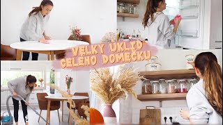 VLOG | VELKÝ ÚKLID CELÉHO DOMEČKU