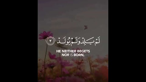 ارح سمعك😴🎧تلاوة هادئة تنسيك هموم الدنيا كلها