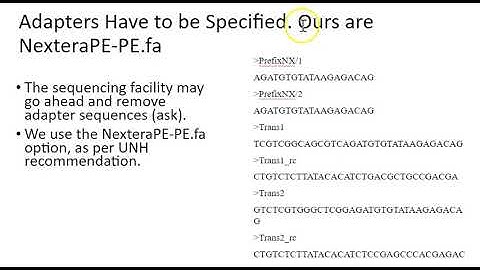 Trimmomatic before genome assembly