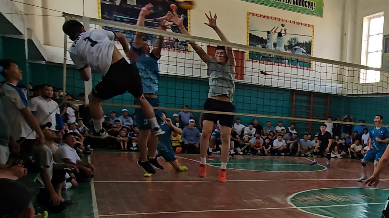 Тайтың&Сарыбаргы тытыш🙄🤨🤥