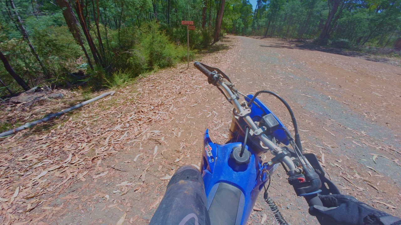 04' WR450F TRAIL RIDING PURE-SOUND! [4K/RAW] #3