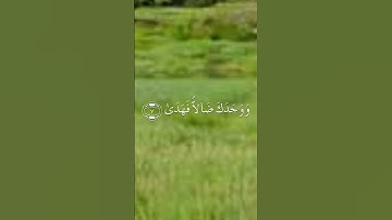 سورة الضحى بصوت الشيخ ياسر الدوسري