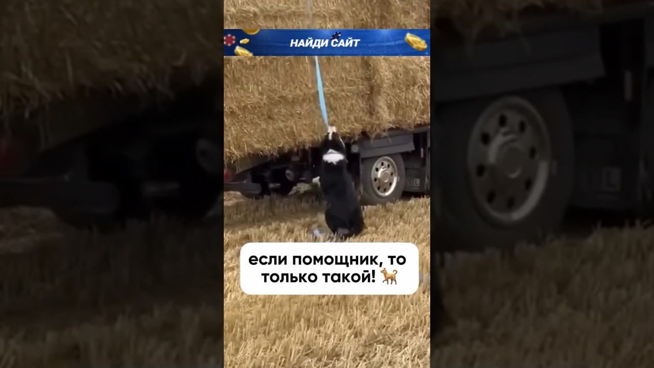 Лучший помощник для крепления груза на грузовике.