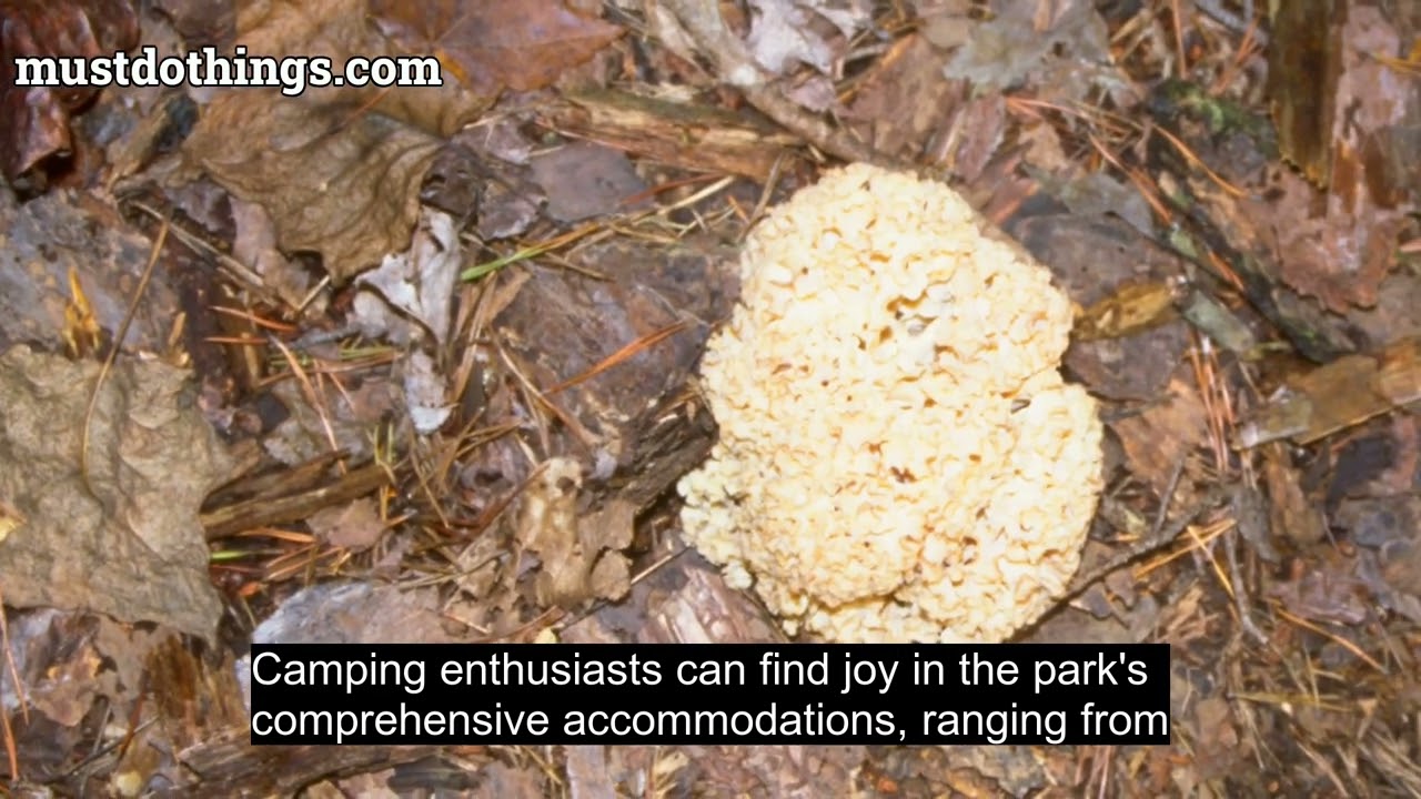 Prince William Forest Park