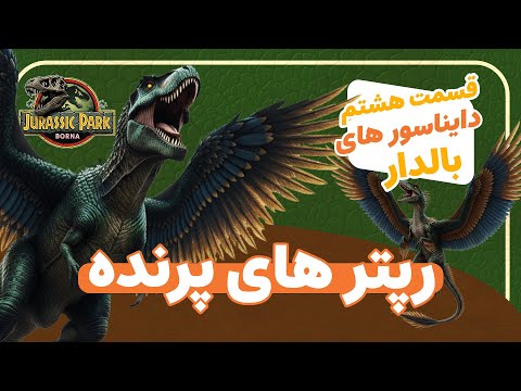 چطور دایناسورها پرواز یاد گرفتن از رپتور تا پرنده راز تکامل پرواز قسمت 8
