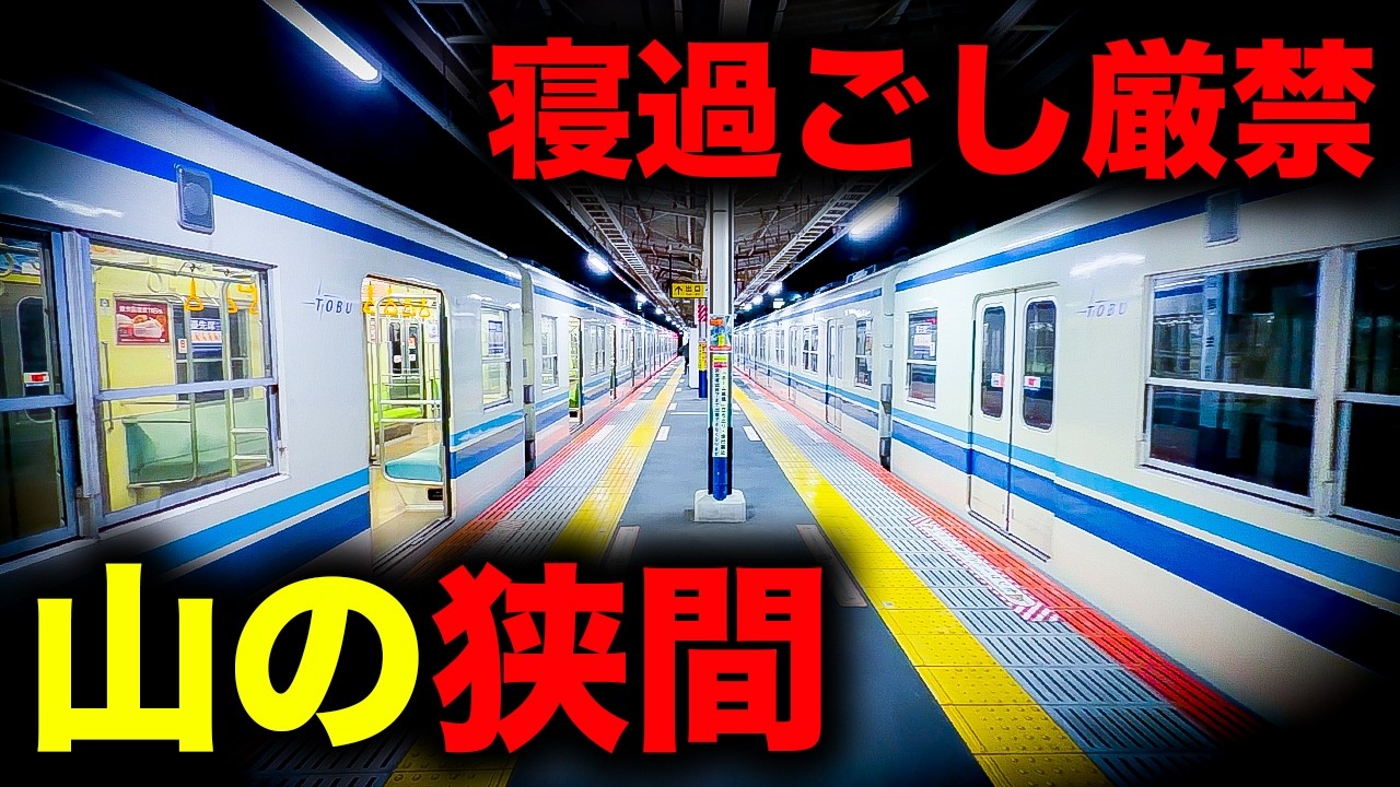 【野宿確定】寝過ごすと埼玉の山の入り口に放置されてしまう恐怖の終電を乗り通してみた｜終電で終点に行ってみた#144