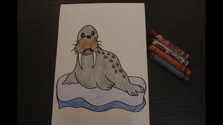 Learn About Walrus Before We Start Drawing | Easy Drawing | Walrus Drawing | Cute Walrus