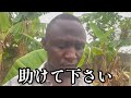 デュラ村のSNSへ日本人の1つ助けを下さい