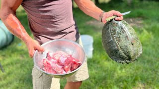 How to Cook snapping turtle with biscuits and gravy