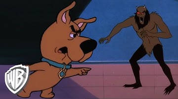 Scooby-Doo! | You
