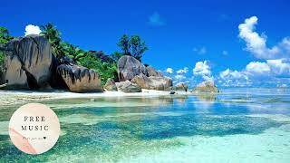 Chris Lehman - Vision (No Copyright Music)