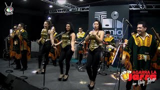 Video thumbnail of "Grupo Saya - La Cumbia Francesa en Agarra la Jarra"