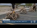 Utah division of wildlife resources auctions off antlers furs