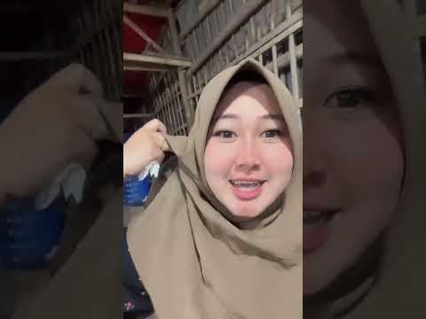 BERBURU DURIAN DI SORE HARI ❓